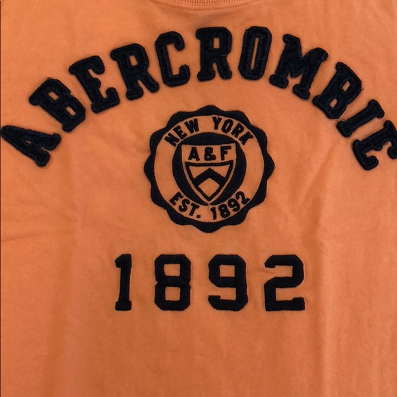 Abercrombie & Fitch Logo T-Shirt - Picture 3 of 3